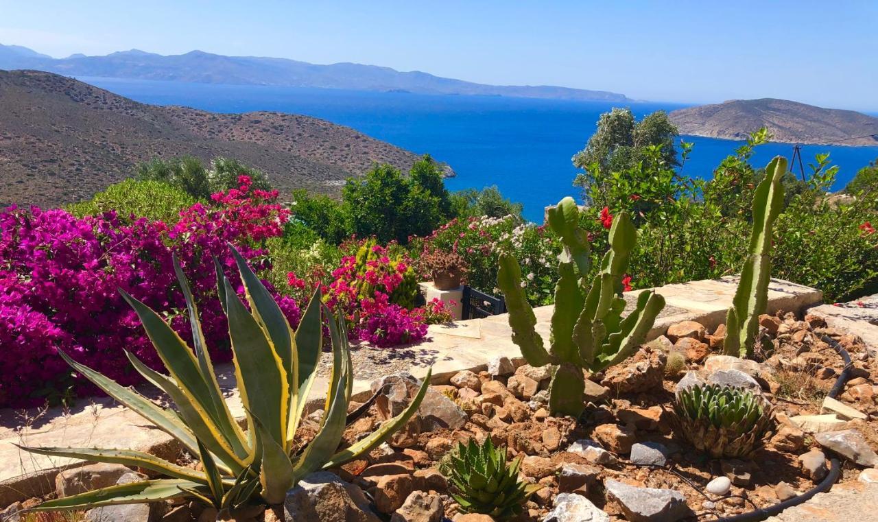 Luxus Tholos Bay エクステリア 写真